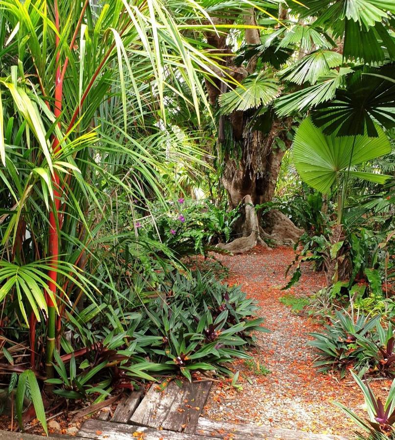 Rainforest Castaways Resort And Spa Mission Beach Dış mekan fotoğraf