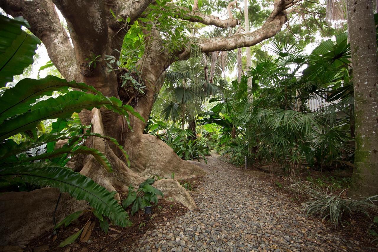Rainforest Castaways Resort And Spa Mission Beach Dış mekan fotoğraf